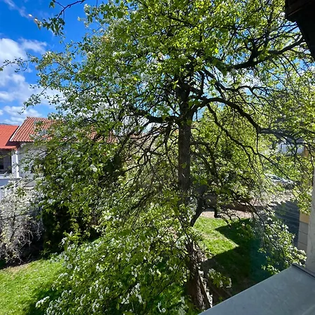 Apartment Wood & Light Loft - Private Parking Sarajevo