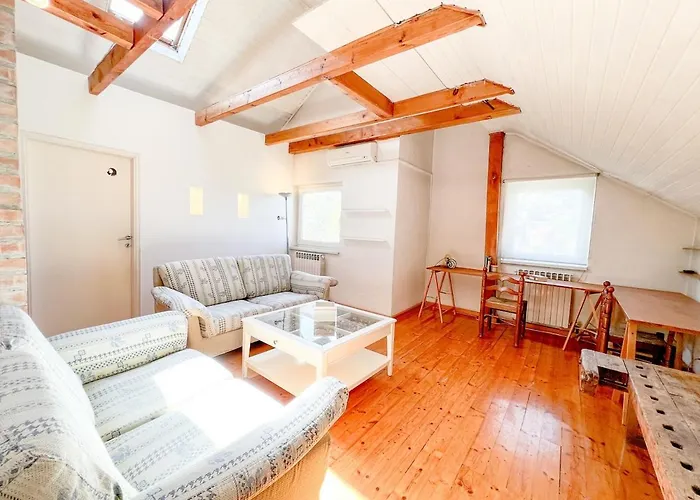 Wood & Light Loft - Private Parking Sarajevo